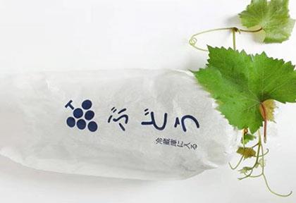 上海箱包展SBS-2025年6月我国箱包展会